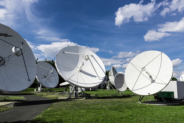 Dish, Gray Forge Carriage Deal